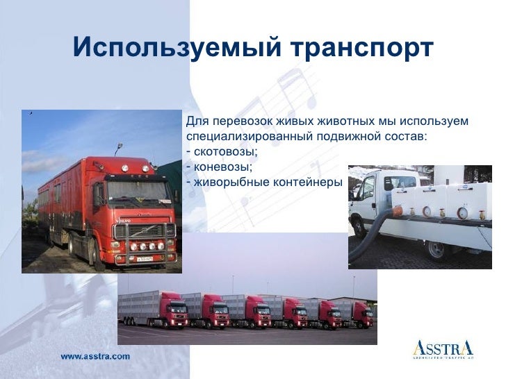 Asstr O